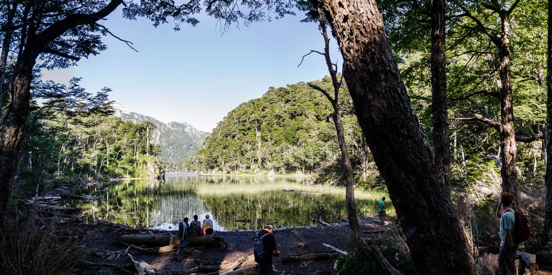 ️ Parcs nationaux et randonnées : Huerquehue et le pied du volcan