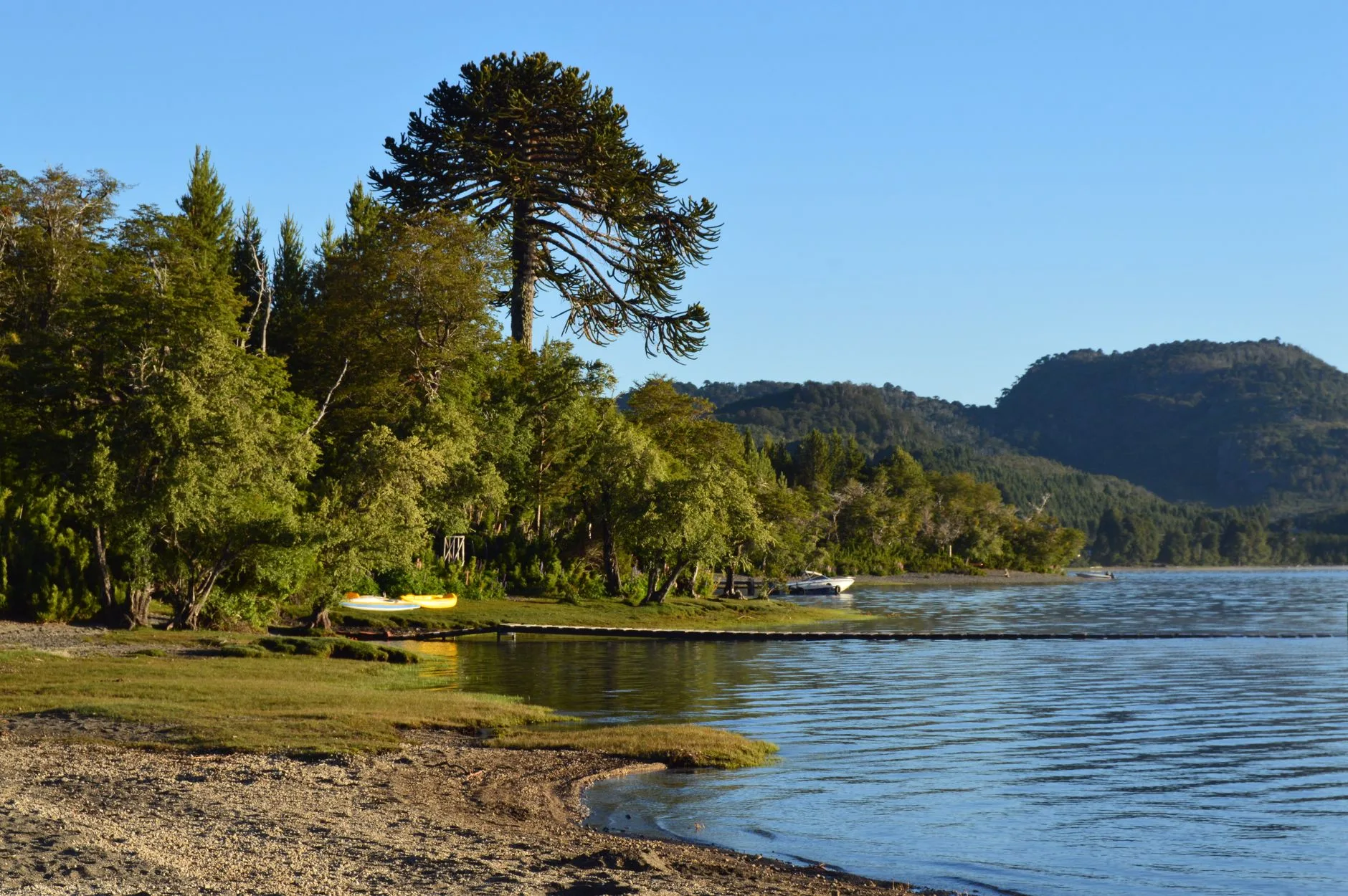 Rafting, kayak et plages du lac Villarrica