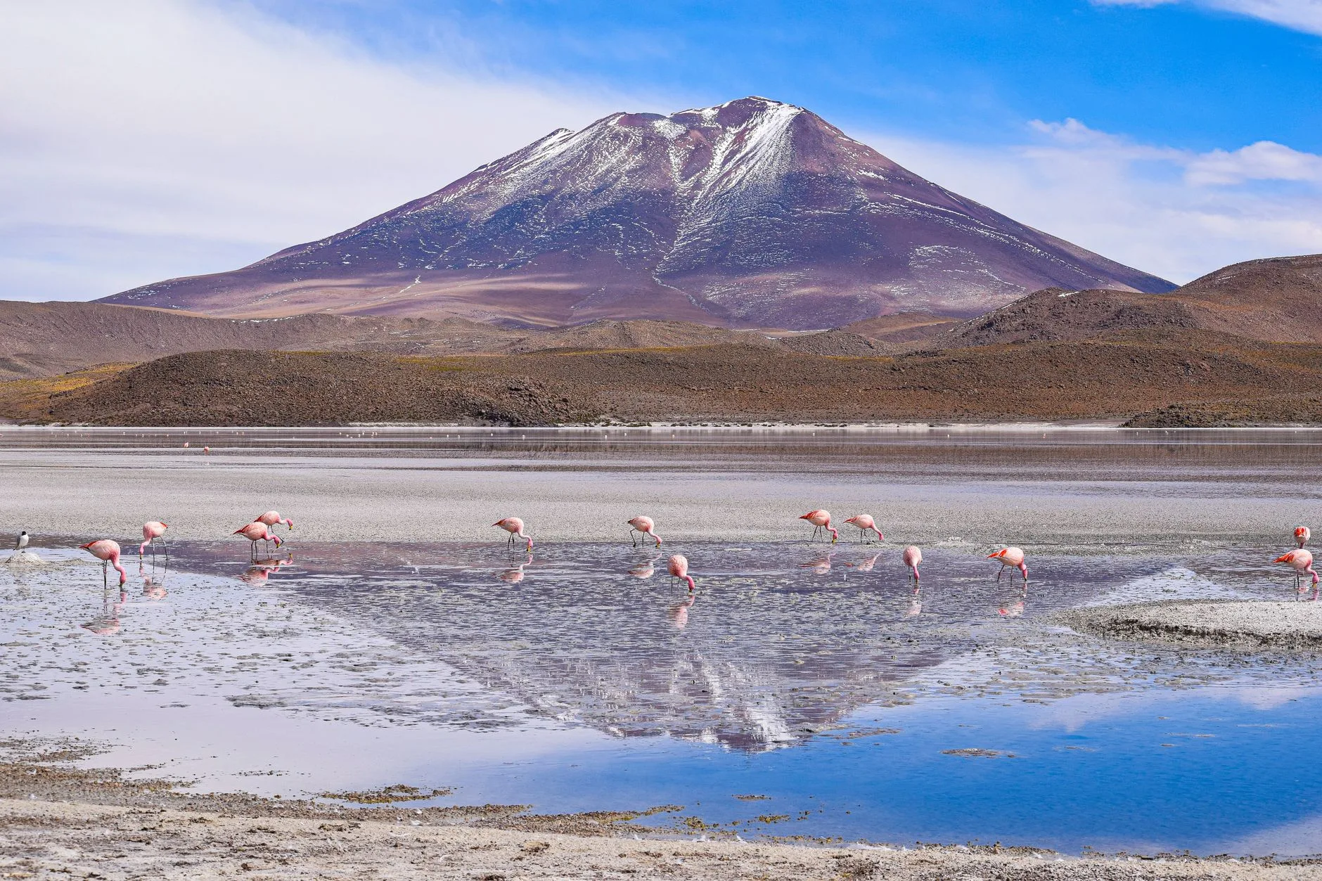 Le salar d'Atacama et ses lagunes