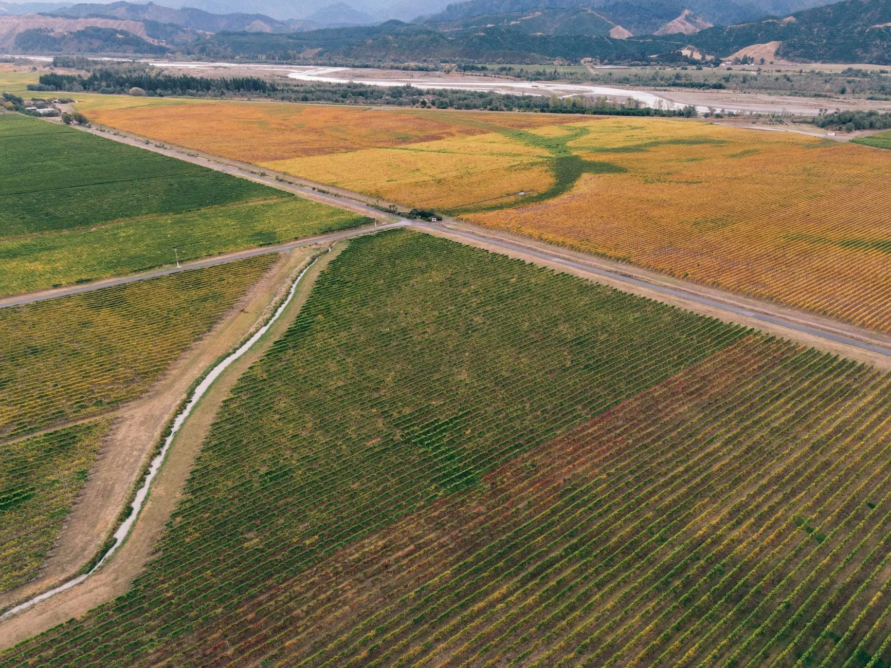 ️ La vallée du Maipo : le vignoble des portes de Santiago