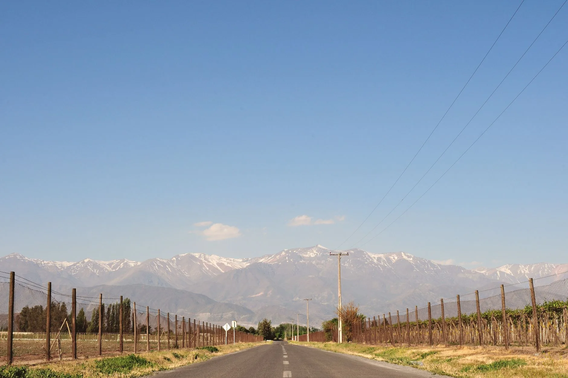 Route bordée de vignes avec la cordillère des Andes en arrière-plan près de Santiago du Chili